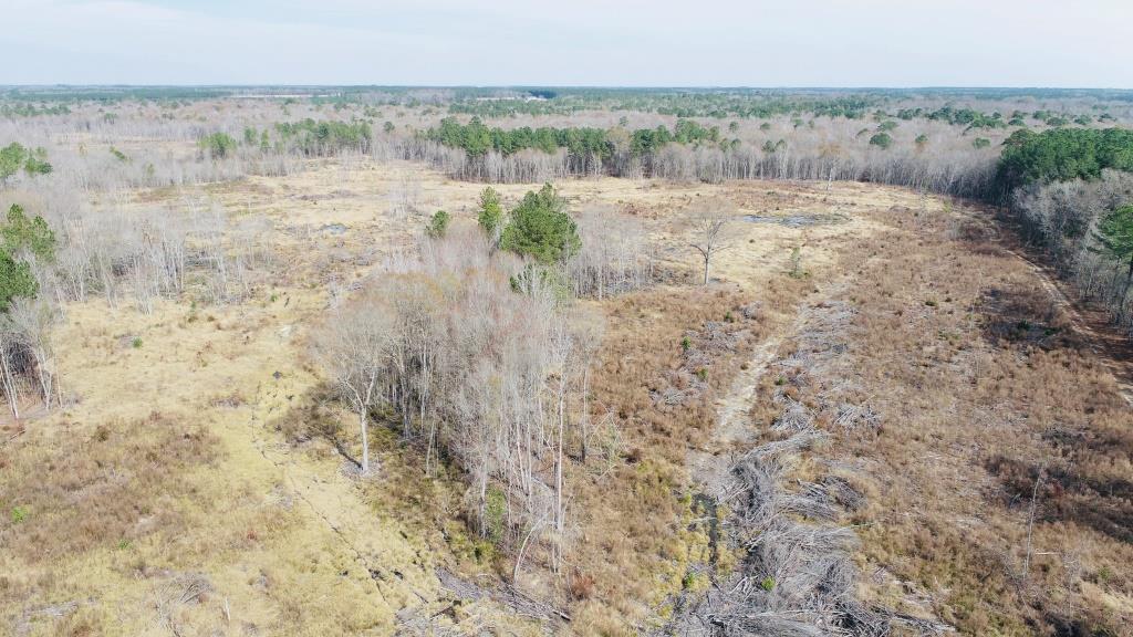 Willow Lake Tract Photo