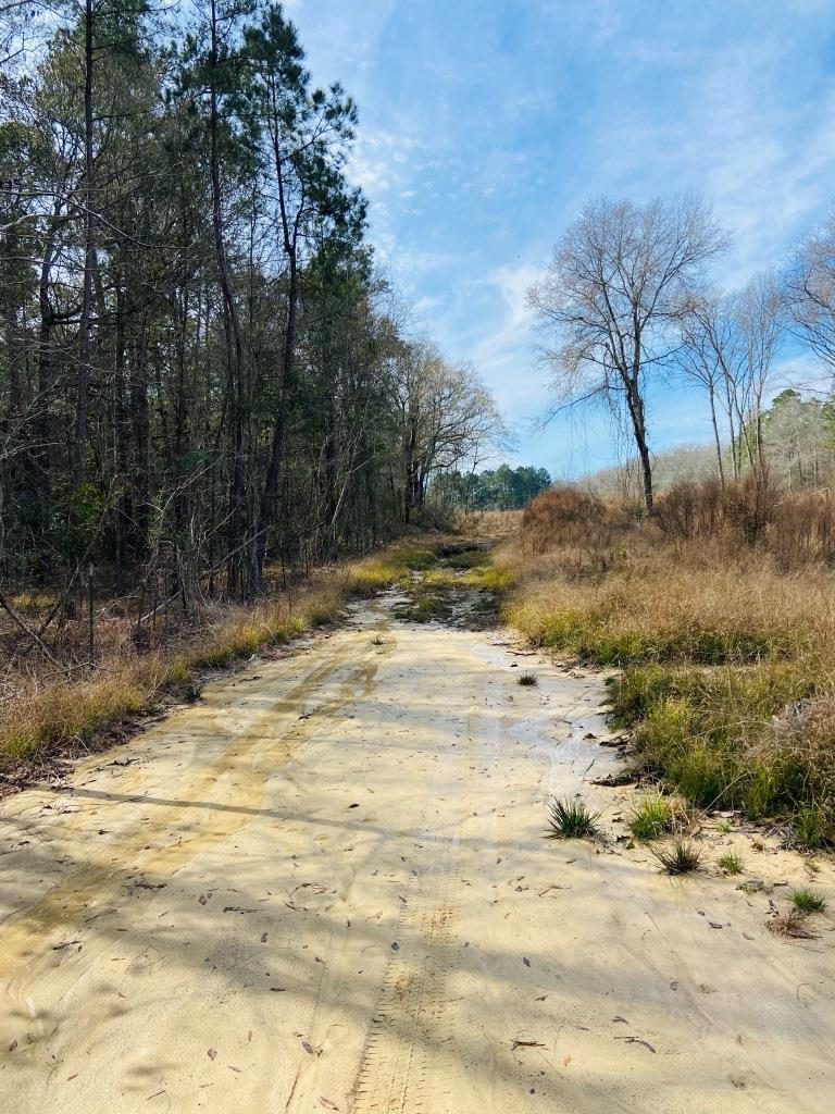 Willow Lake Tract Photo