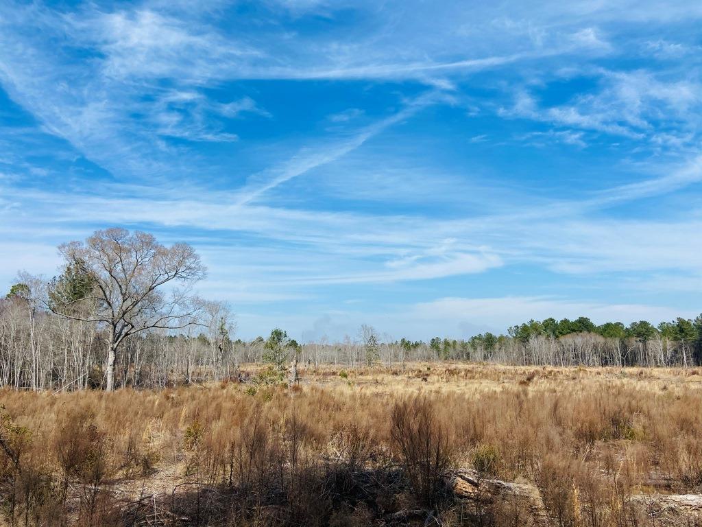 Willow Lake Tract Photo