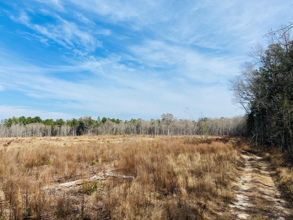 Willow Lake Tract Photo