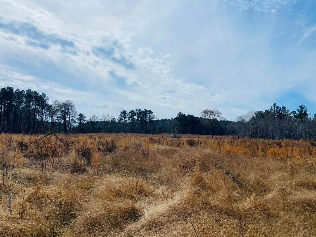 Willow Lake Tract Photo