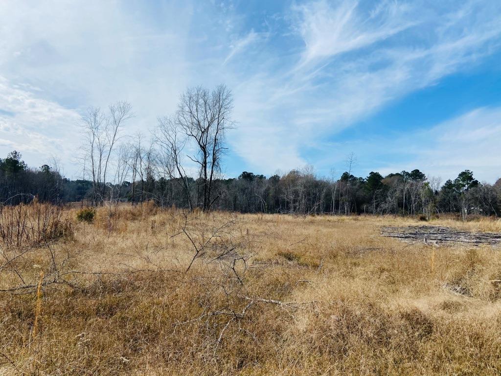 Willow Lake Tract Photo