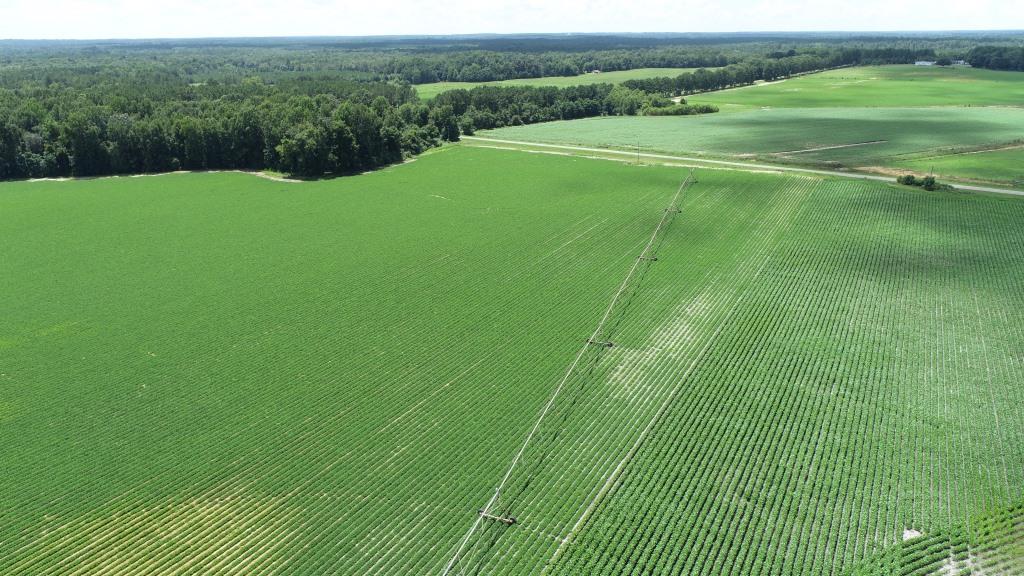 Roberts Bridge Farm Photo