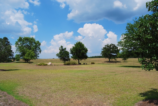 Story Mill Estate Photo