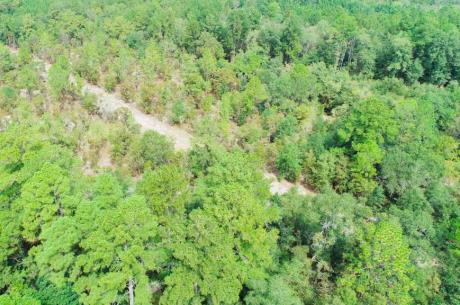 County Line Homesite