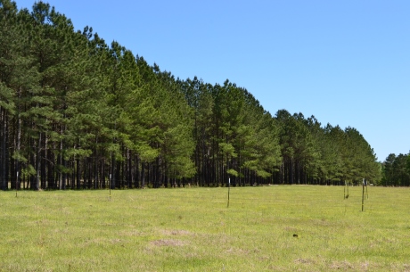 Hammock Road Farm