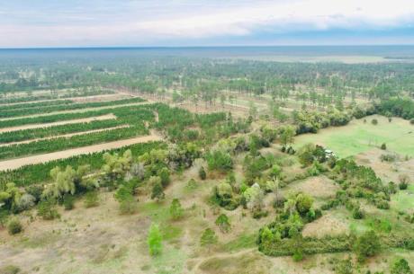 Plantation Belt Homesite