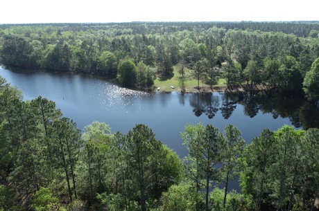 Westside Pond