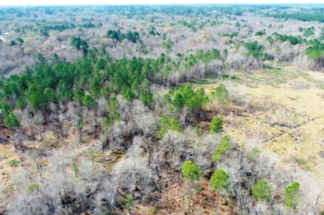 Willow Lake Tract