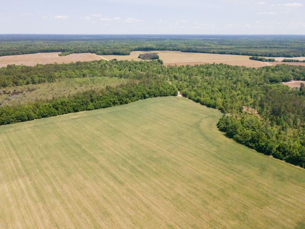 Old River Road – Lot 6 Photo