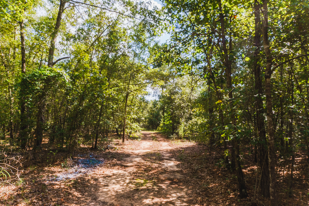 Limestone Creek Photo