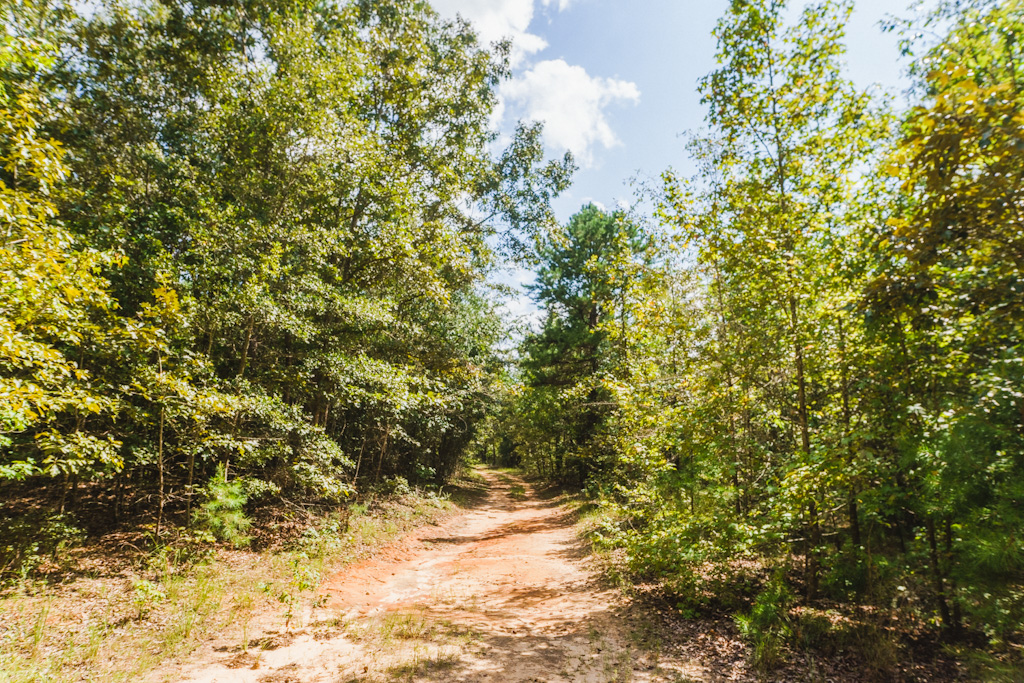 Limestone Creek Photo