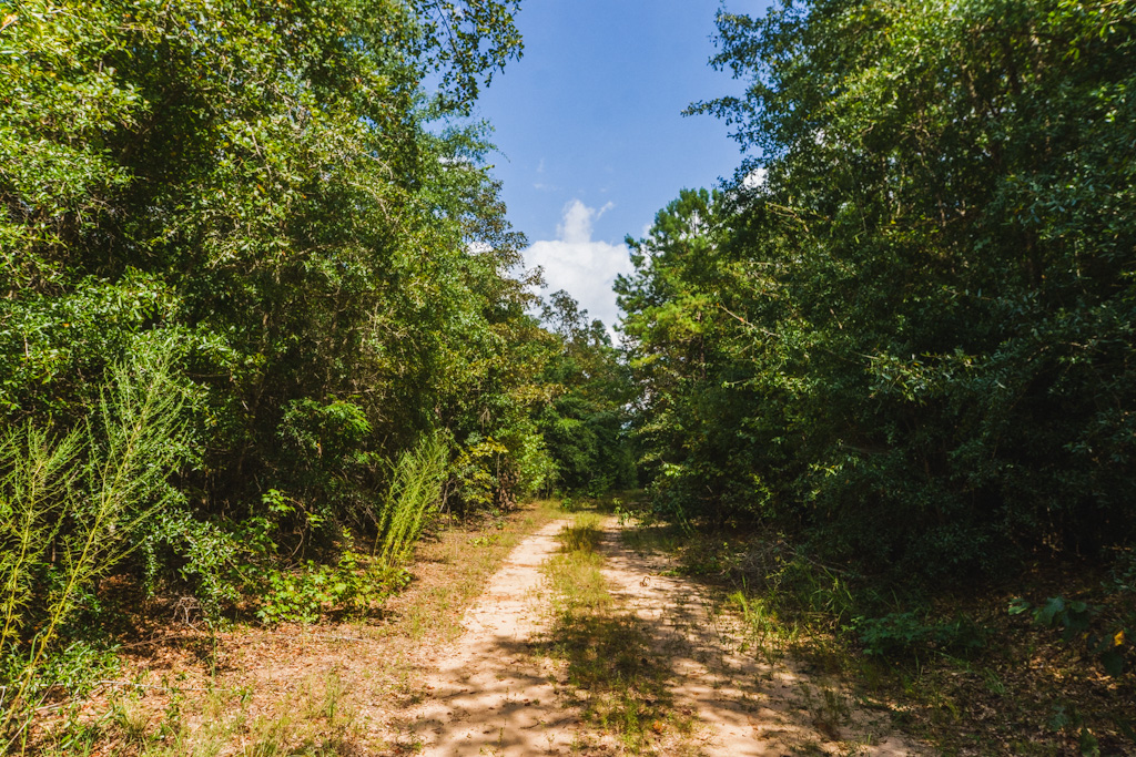 Limestone Creek Photo