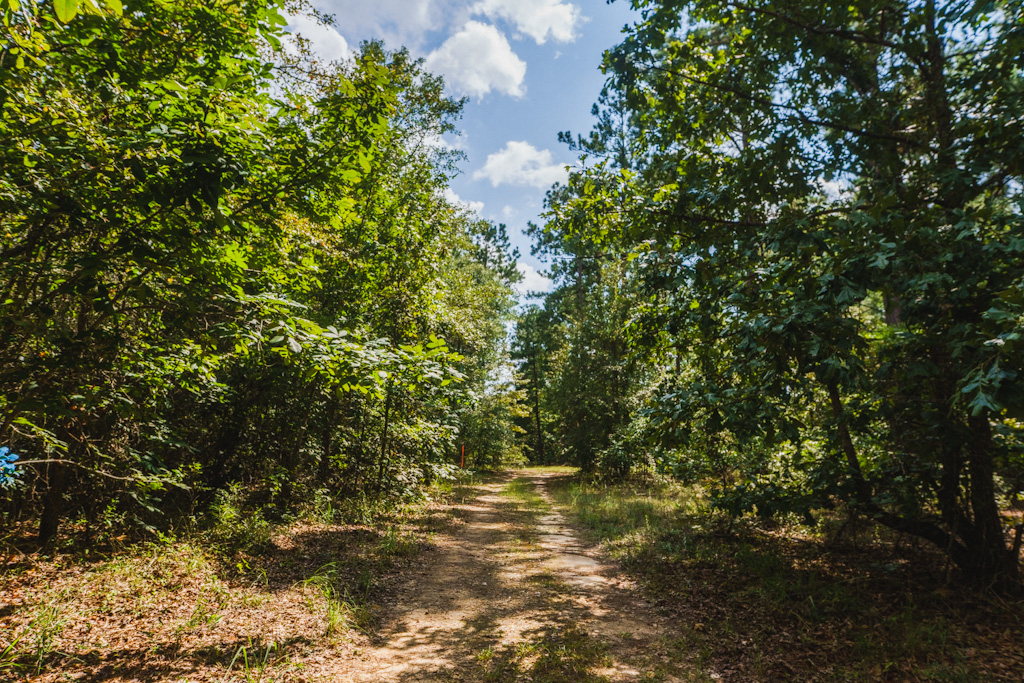 Limestone Creek Photo