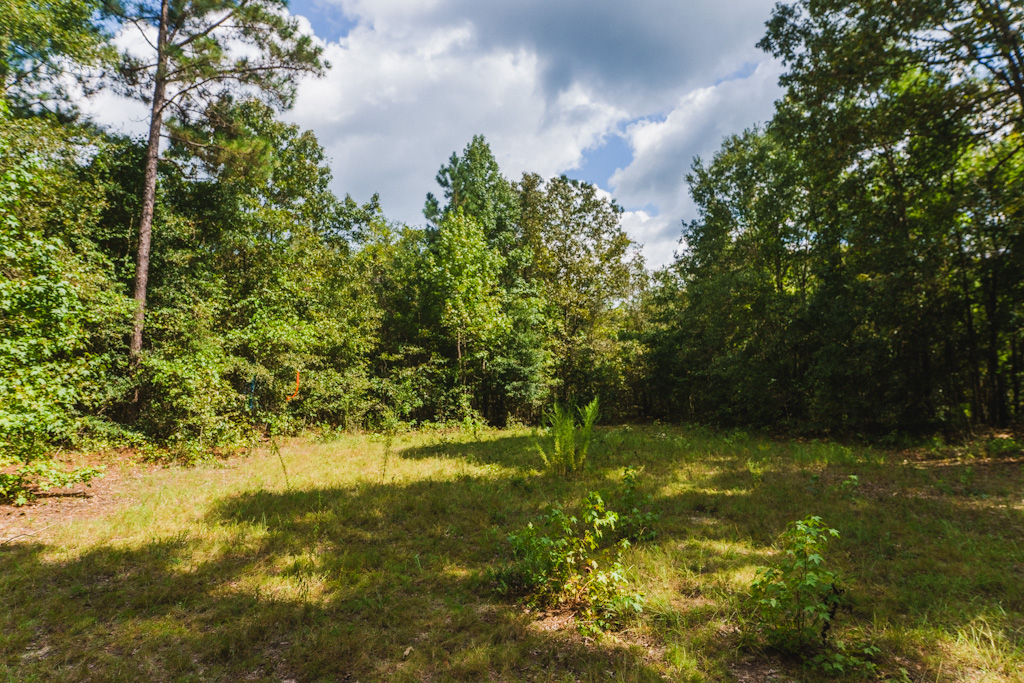 Limestone Creek Photo