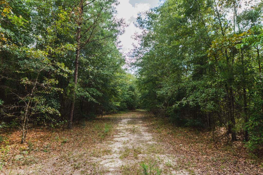 Limestone Creek Photo