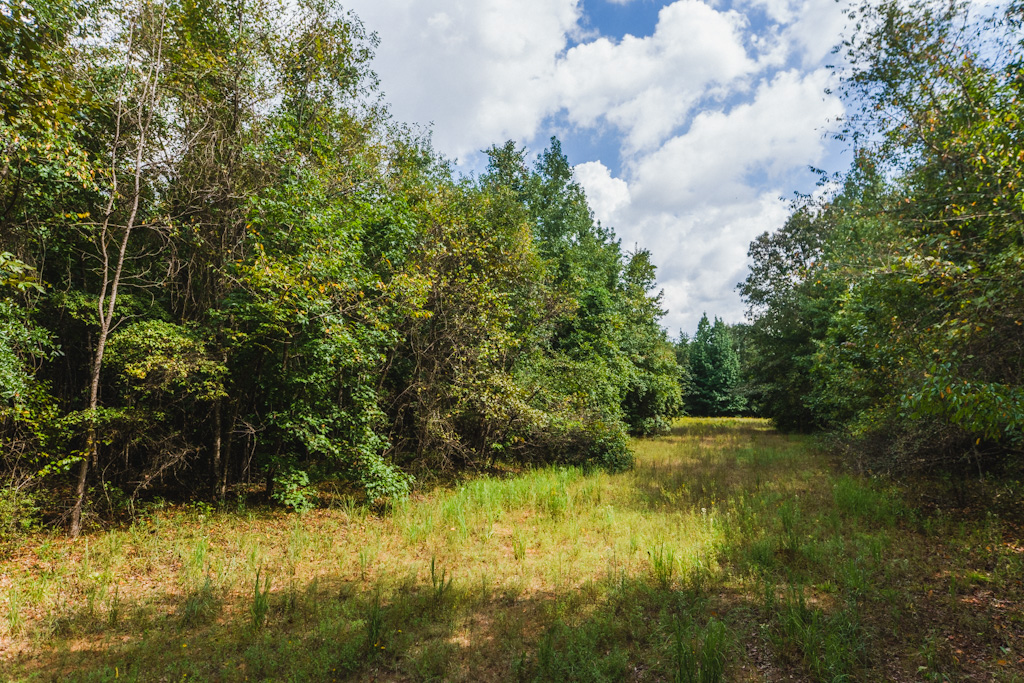 Limestone Creek Photo