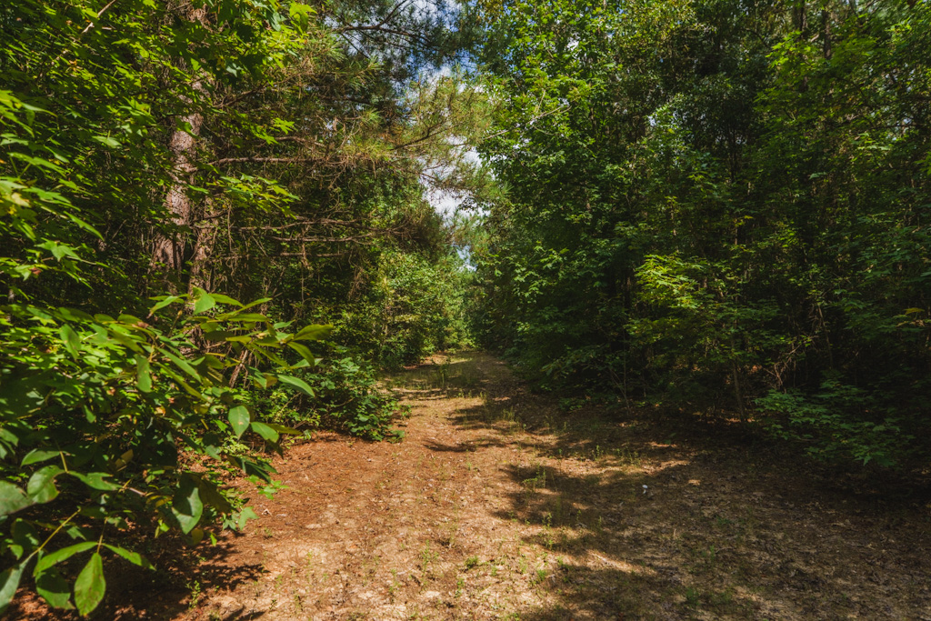 Limestone Creek Photo