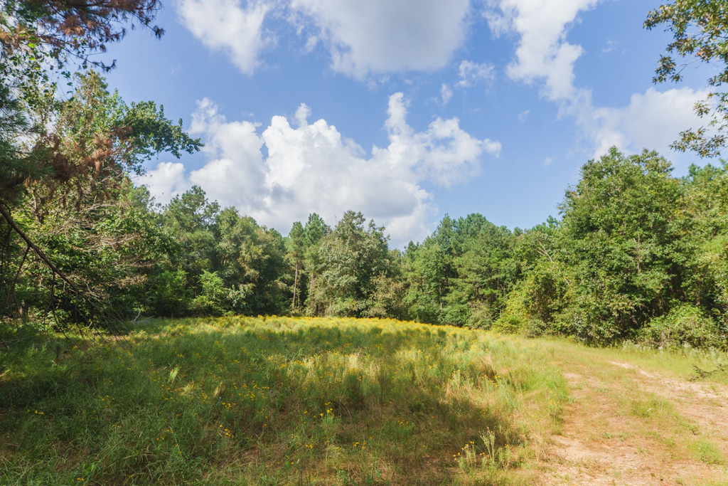 Limestone Creek Photo