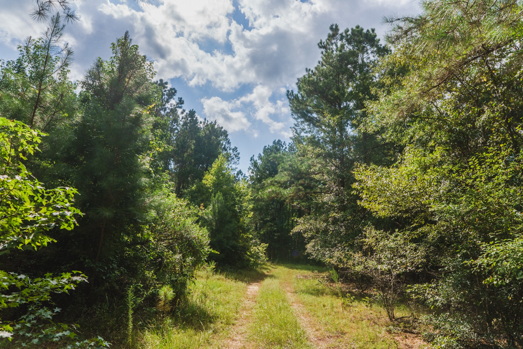 Limestone Creek Photo