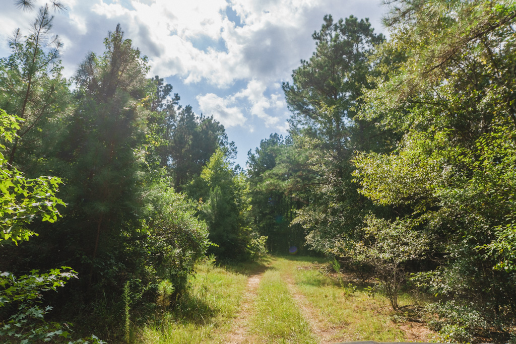 Limestone Creek Photo