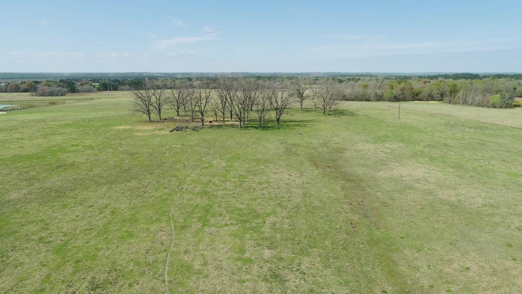 Lynntown Pasture Photo