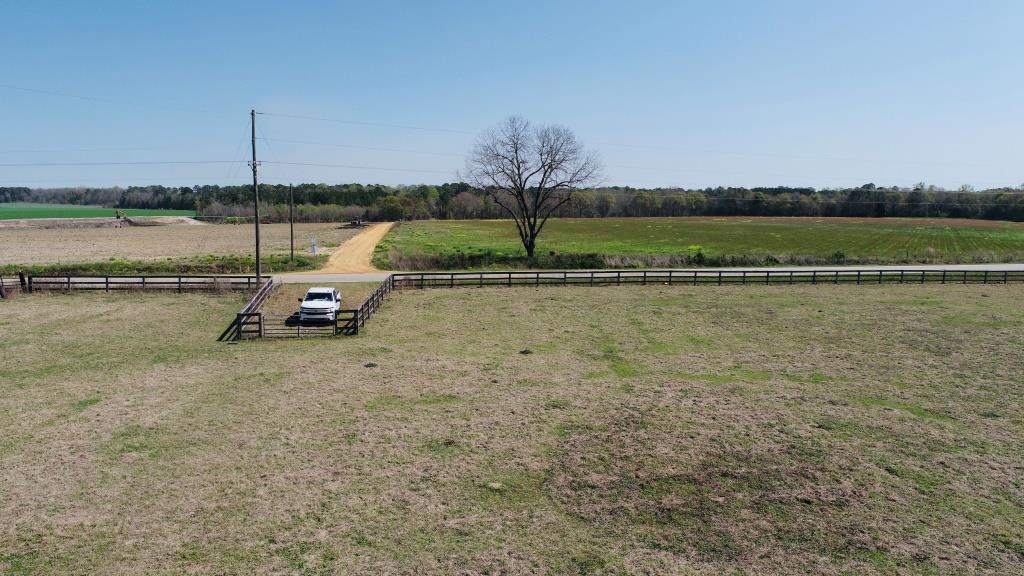 Lynntown Pasture Photo