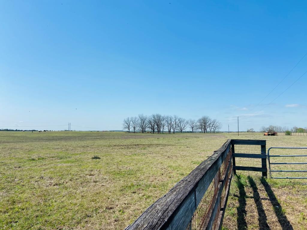 Lynntown Pasture Photo