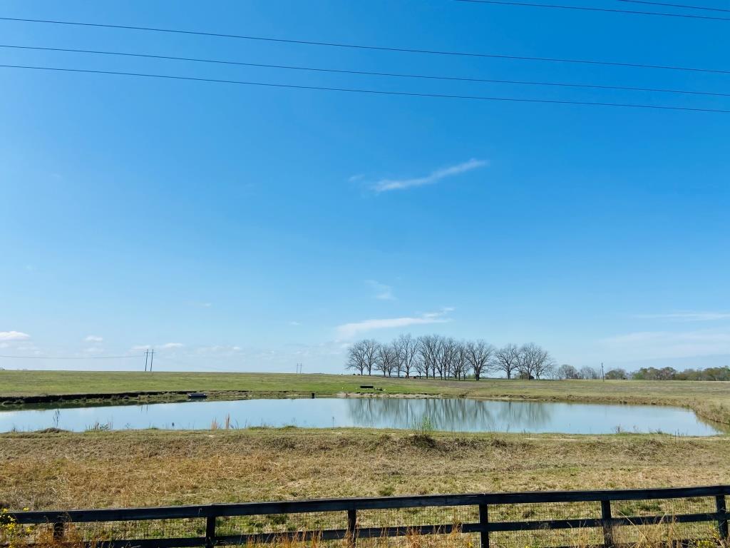 Lynntown Pasture Photo