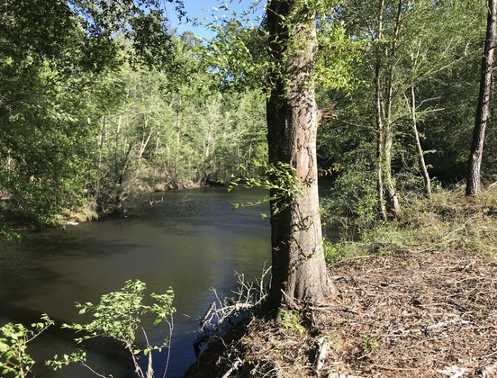 Belmont Ogeechee River Tract Photo