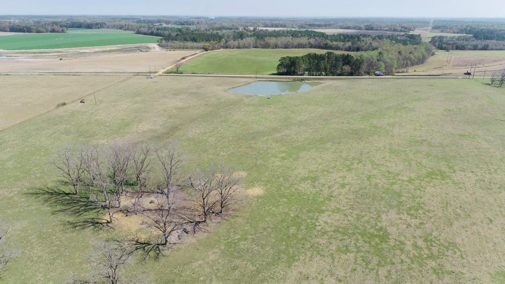 Lynntown Pasture Photo