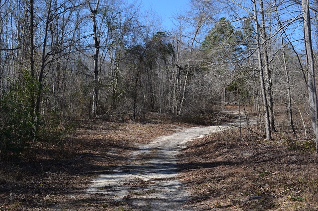 Live Oak Pond Photo