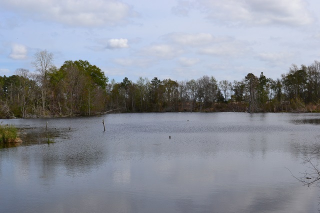 Rogers Pond Photo