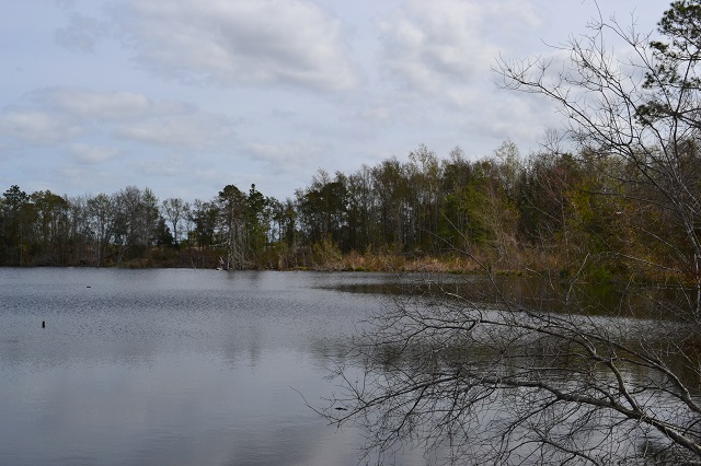 Rogers Pond Photo