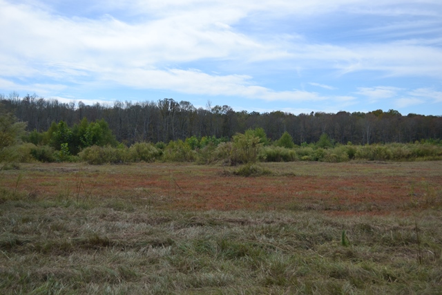 Big Sandy Creek Photo