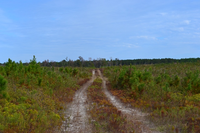 Ochwalkee Creek Photo