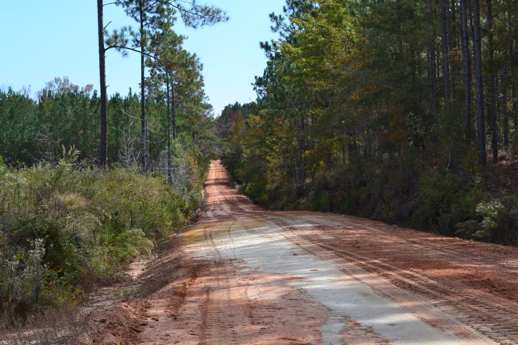 Ochwalkee Creek Photo