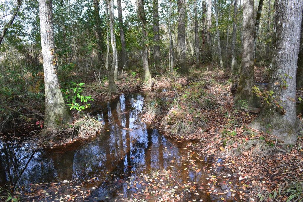 Ochwalkee Creek Photo