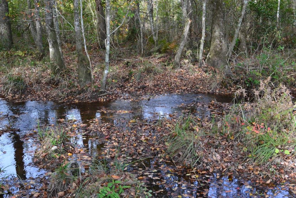 Ochwalkee Creek Photo