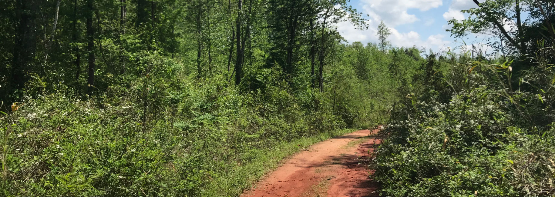 Belmont Ogeechee River Tract Main Photo