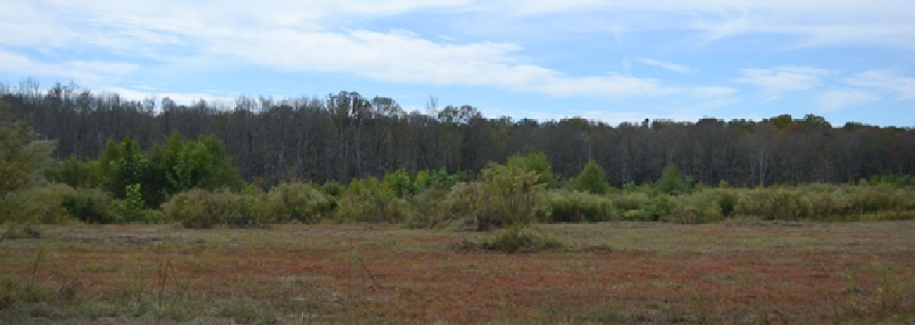 Big Sandy Creek Main Photo