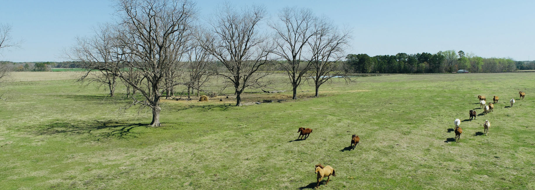 Lynntown Pasture Main Photo