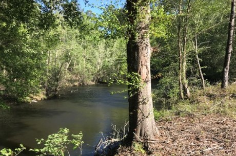 Belmont Ogeechee River Tract