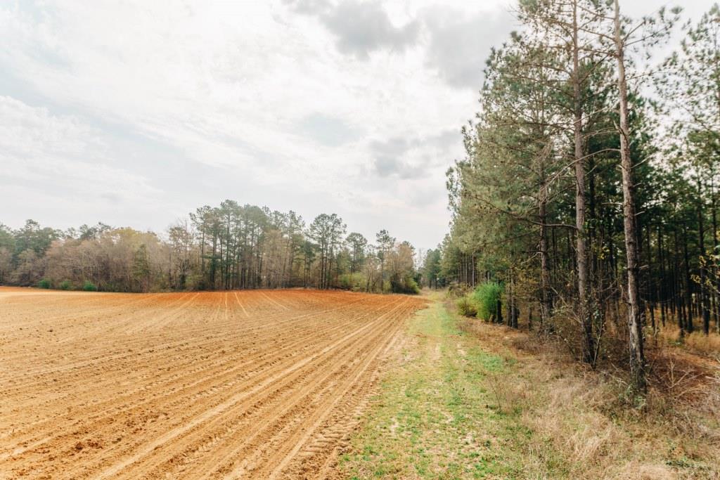 Gibbons Tract Photo