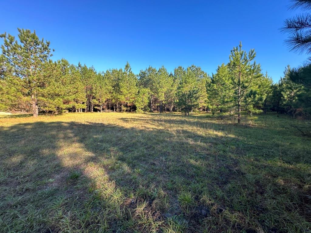 South Screven Pines Photo