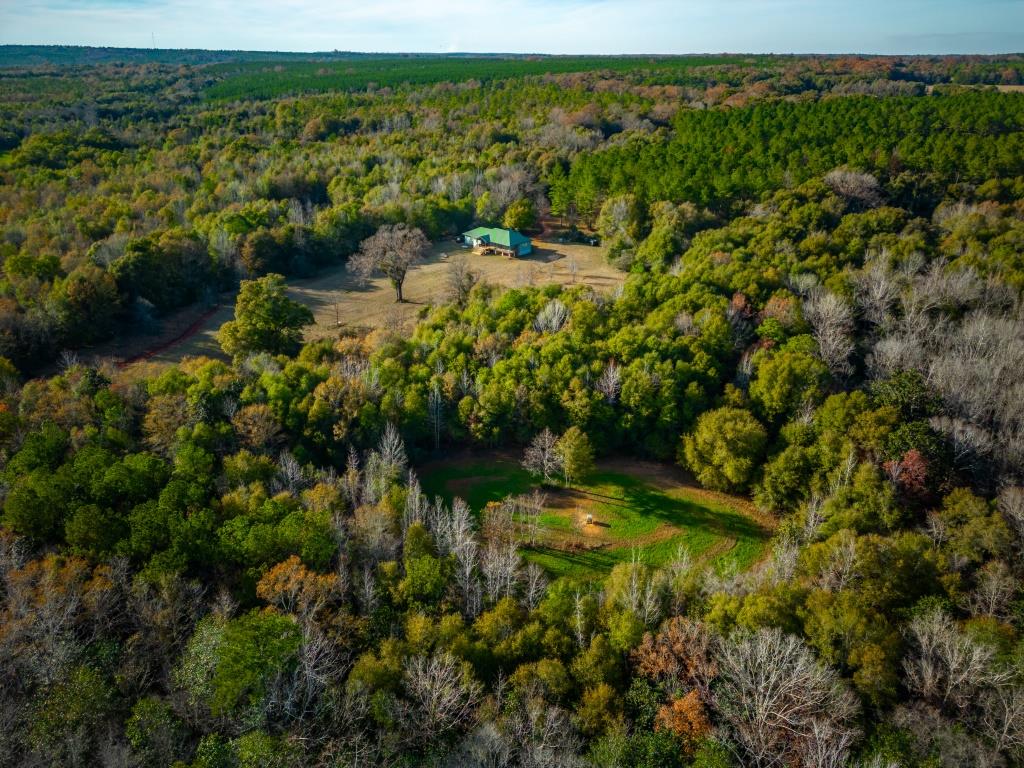 Hodchodkee Creek Lodge Photo