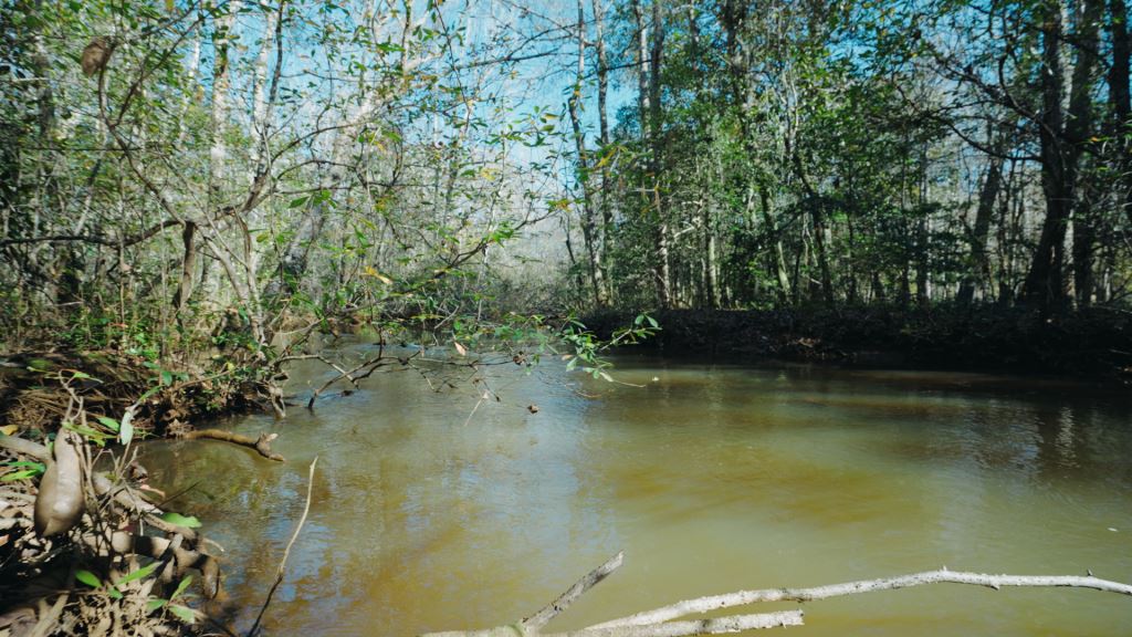 Hodchodkee Creek Lodge Photo