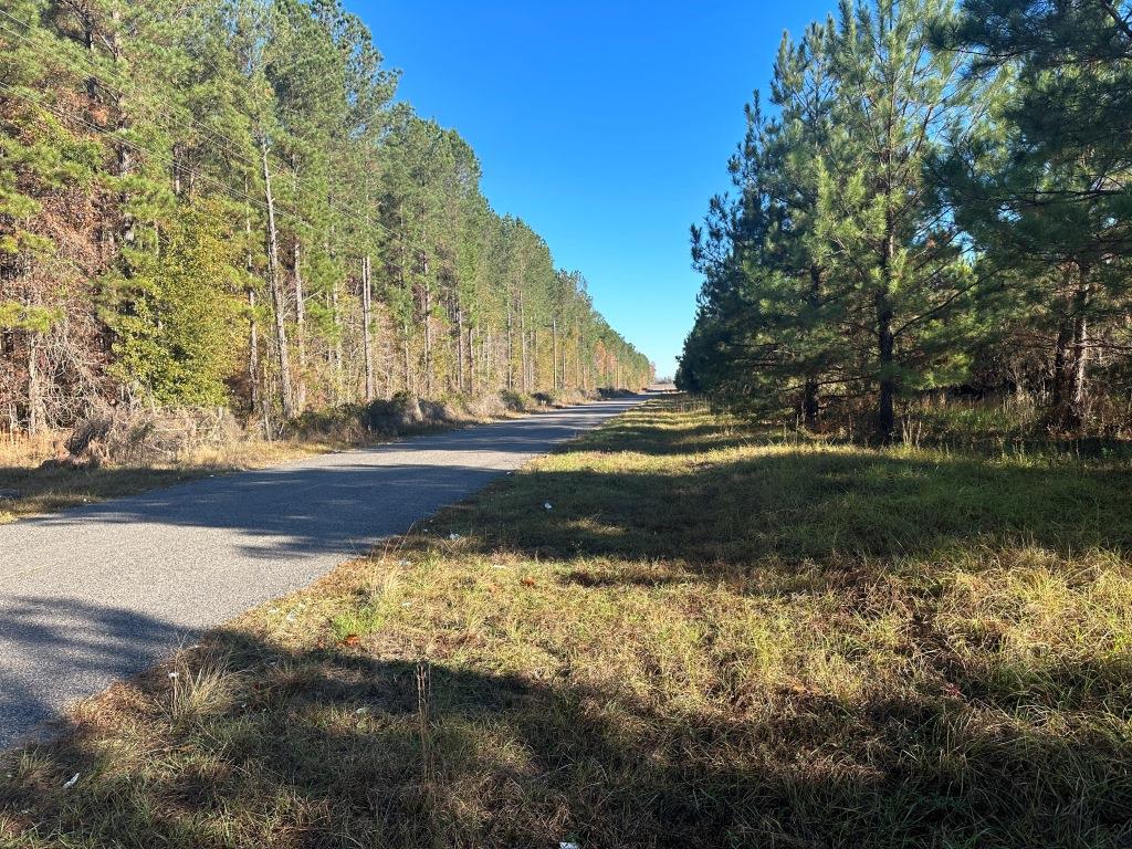 South Screven Pines Photo