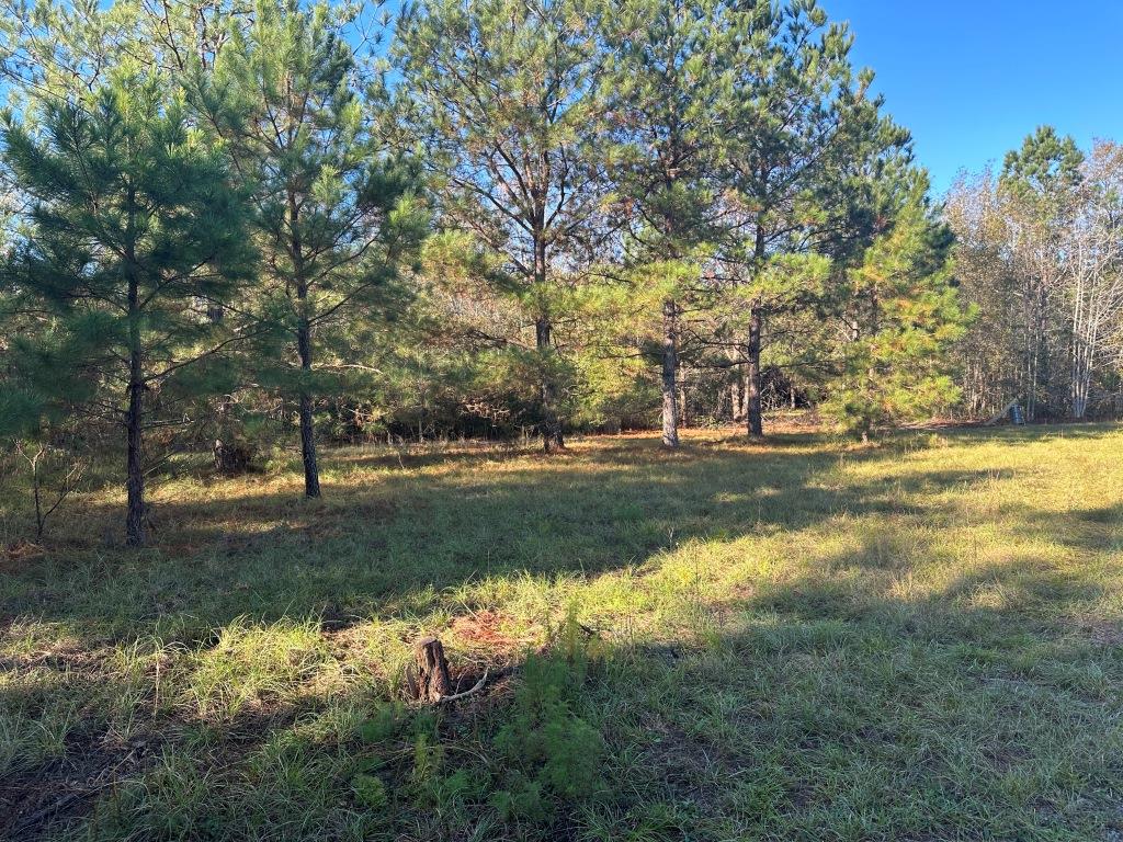 South Screven Pines Photo