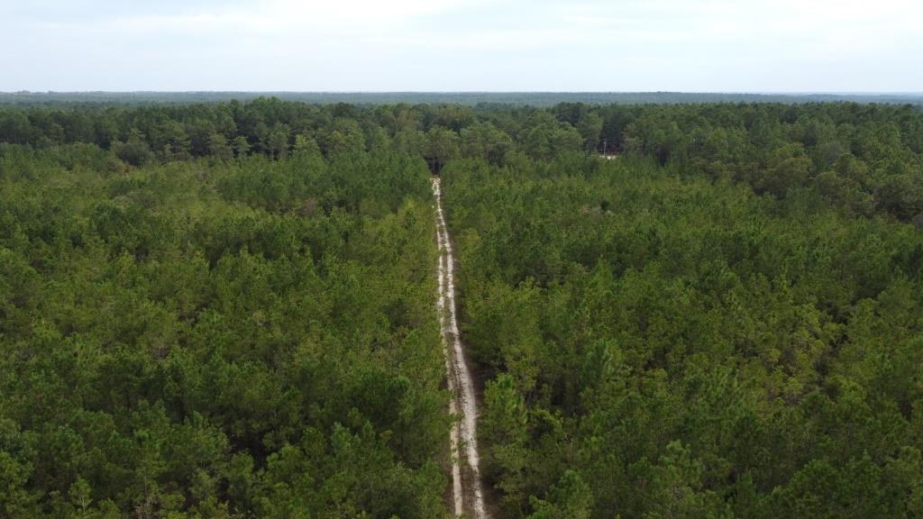 Settlement Road Pines – Tract A Photo